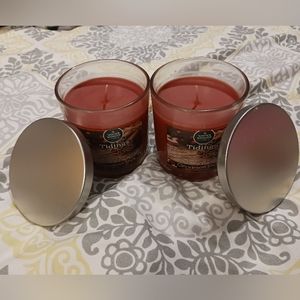 NWT! WINTER WONDER TIDINGS (CINNAMON STICK)
